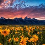 Grand Teton: Private Guided Tour (Sunset) - The Sum Up: Is It Worth It?