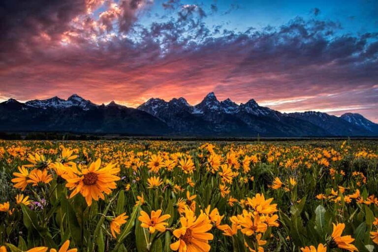 Grand Teton: Private Guided Tour (Sunset) - The Sum Up: Is It Worth It?