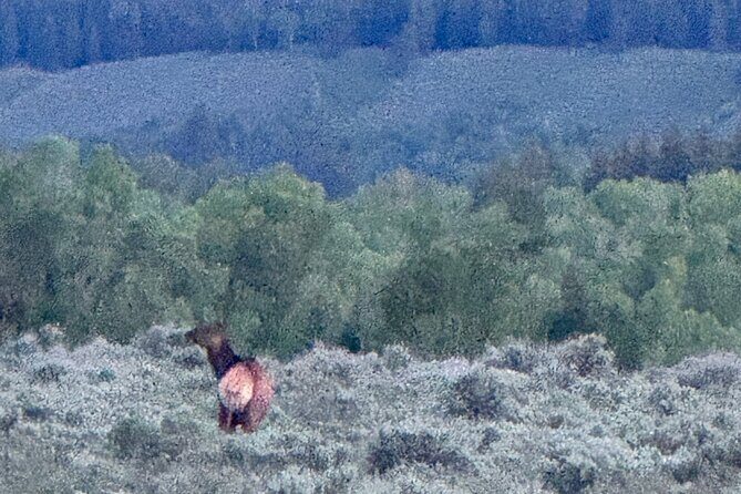 Grand Teton Sunrise Scenic Tour - The Experience Provider: United Car Service