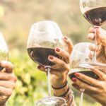 Grape Escapes Full-Day Private Wine Tour in Ithaca - The Wineries and Tasting Experience