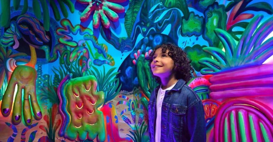 Grapevine: Meow Wolf The Real Unreal Ticket - The Experience Itself: Details and Insights