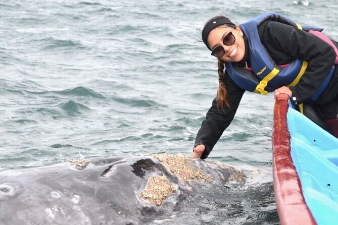 Gray Whale Watching in Bahia Magdalena - Transportation and Group Size