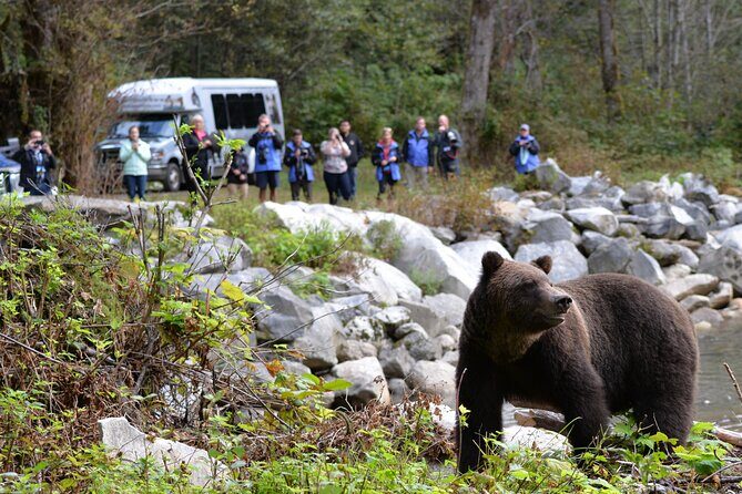 Great Bears of Bute: Grizzly Bear Viewing & Indigenous Cultural Tour - What Makes This Tour Stand Out?