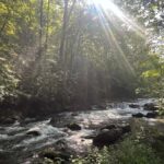 Great Smoky Mountains: Guided Hike & Outdoor Painting Class - A Closer Look at the Experience