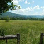 Great Smoky Mountains Self-Guided Scenic Drive and Audio Tour - What Travelers Say