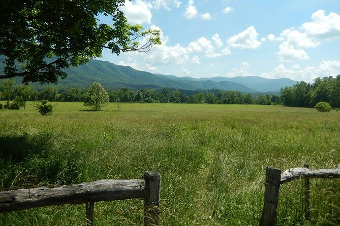 Great Smoky Mountains Self-Guided Scenic Drive and Audio Tour - What Travelers Say