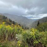 Great Smoky Mtns: Folklore Flora Fauna - Storytelling Hikes - Who Should Consider This Tour?