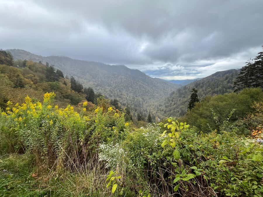 Great Smoky Mtns: Folklore Flora Fauna - Storytelling Hikes - Who Should Consider This Tour?