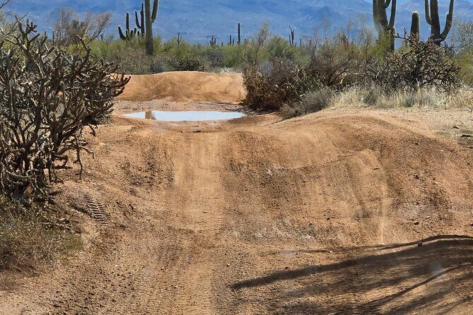 Great Western Trail Jeep Day Tour - A Deep Dive into the Experience