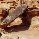 Greater Zion: ATV Excursion to Ancient Indian Petroglyphs - What to Expect on the Tour