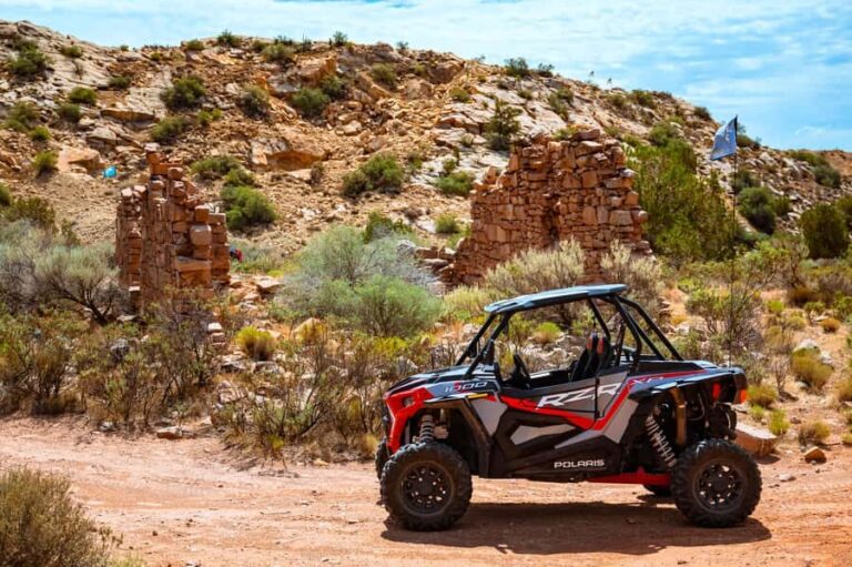 Greater Zion: Dinosaur Tracks in the Desert UTV Tour - The Value Proposition