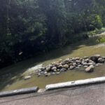 Grenada: River Tubing Adventures - The Sum Up: Why Choose Grenada’s River Tubing?