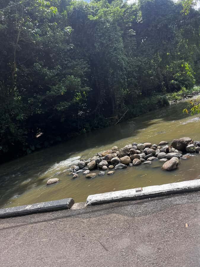 Grenada: River Tubing Adventures - The Sum Up: Why Choose Grenada’s River Tubing?