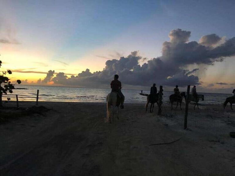 Group horseback ride on Holbox Island, Quintana Roo - The Experience from Different Perspectives
