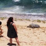 Group priced Food Distillery Brewery half island private tour - What to Expect from Each Stop