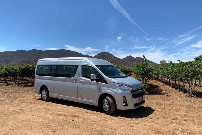 Group tour - The Value of a Private Guide