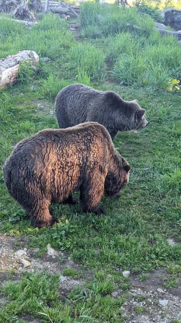 Grouse Mnt+StanleyPark+Hatchery+Cleveland Dam+LynnCanyonTOUR - Why This Tour Offers Value