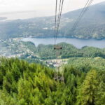 Grouse Mountain, Capilano Bridge & Fish Hatchery Tour - The Real Value of the Experience