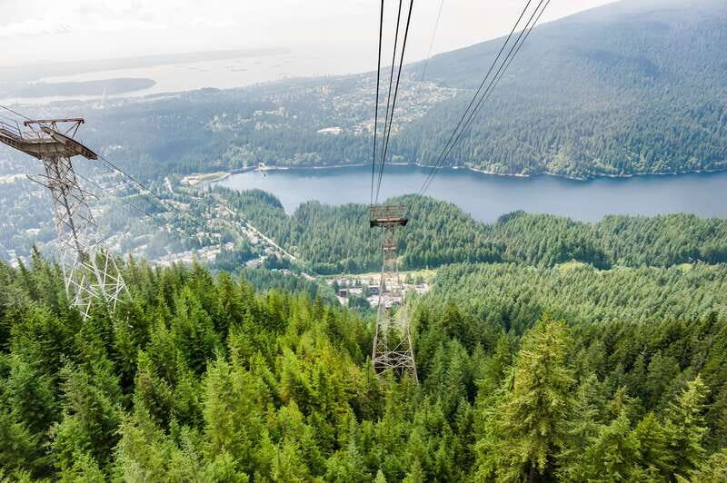 Grouse Mountain, Capilano Bridge & Fish Hatchery Tour - The Real Value of the Experience