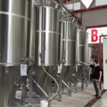 Guadalajara Arquitecture and Brewery Tour - The Brewery Experience: Loba Brewery