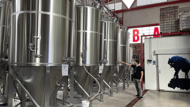 Guadalajara Arquitecture and Brewery Tour - The Brewery Experience: Loba Brewery