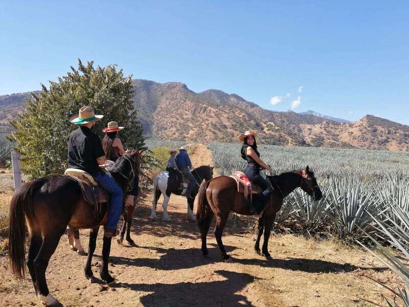 Guadalajara: Horse Riding on the Tequila Route with Tastings - Exploring the Itinerary in Detail