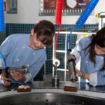 Guadalajara: KidZania Entrance Ticket - What to Expect During Your Visit