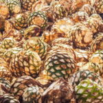 Guadalajara: Lake Chapala and Ajijic Day Trip with Boat Trip - The Value of This Tour