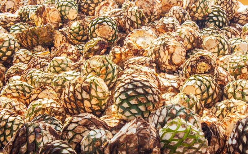 Guadalajara: Lake Chapala and Ajijic Day Trip with Boat Trip - The Value of This Tour