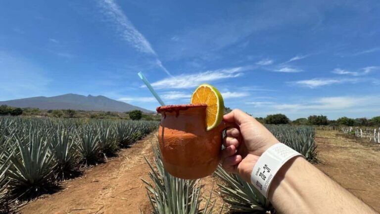 Guadalajara: Tequila Day Trip with Jose Cuervo Option - How the Experience Adds Value