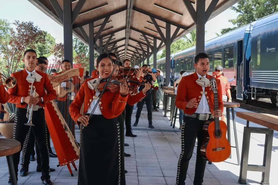 Guadalajara: Tequila Experience at Casa Sauza - Visiting Agave Fields and Learning the Craft