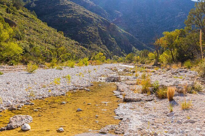 Guadalupe Mountains Self-Guided Audio Driving Tour - What You Can Expect From the Itinerary