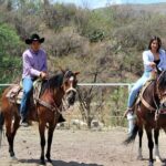 Guanajuato: horse ride tour - The Practical Side: Value and Considerations