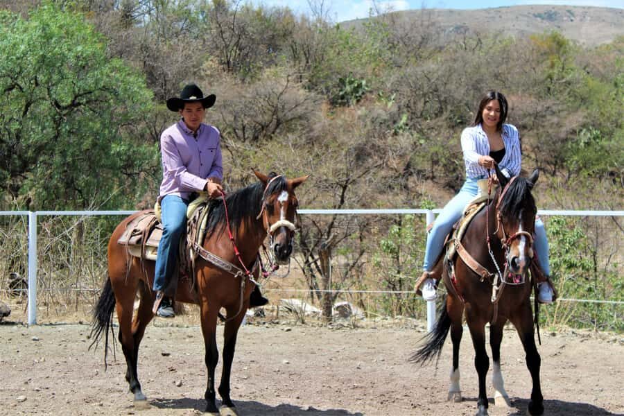 Guanajuato: horse ride tour - The Practical Side: Value and Considerations