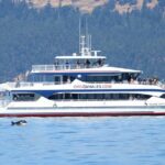 Guaranteed Whale Watch Tour from Anacortes - What the Reviews Highlight