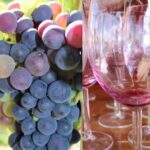 Guided Bike Tour on Historical Kettle Valley Railway at Myra Canyon & Wine Tour - Final Thoughts: Is This Tour for You?