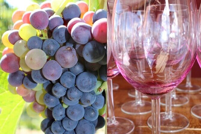 Guided Bike Tour on Historical Kettle Valley Railway at Myra Canyon & Wine Tour - Final Thoughts: Is This Tour for You?