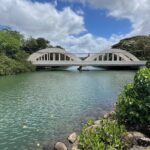 Guided E-Bike Tour in North Shore - The Sum Up