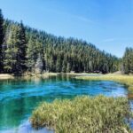 Guided Fly Fishing on Truckee River, Lake Tahoe, Truckee and Reno - Who Should Consider This Tour?