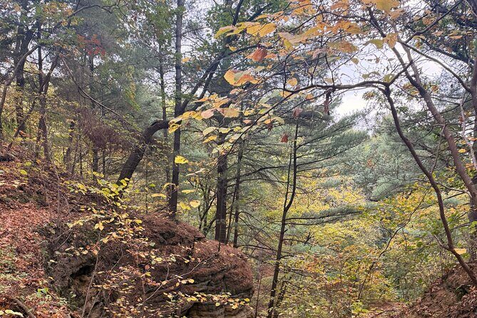 Guided Hike at Starved Rock and Matthiessen Park - Transition to Matthiessen State Park