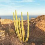 Guided Hike in Tabor Canyon - Who Should Consider This Tour?