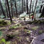 Guided Hike | TONGASS NATIONAL FOREST - The Cultural Element