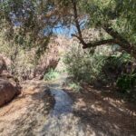 Guided Hiking Tour in AZ Ringbolt Hot Springs View Colorado River - The Sum Up