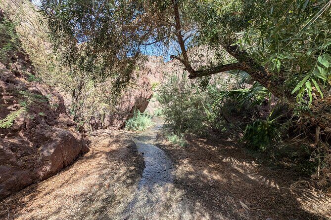 Guided Hiking Tour in AZ Ringbolt Hot Springs View Colorado River - The Sum Up