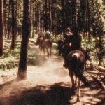 Guided Horseback Trail Rides - What Travelers Say and Why It Matters