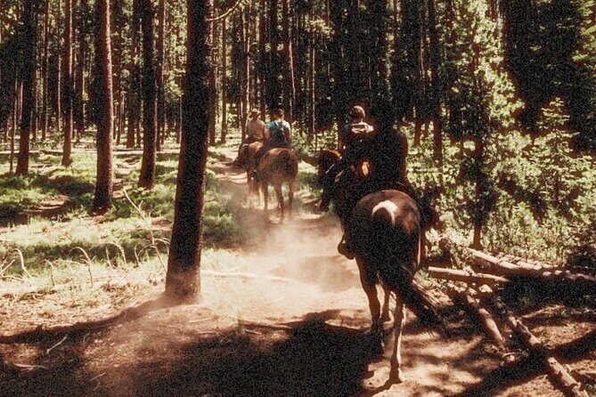 Guided Horseback Trail Rides - What Travelers Say and Why It Matters