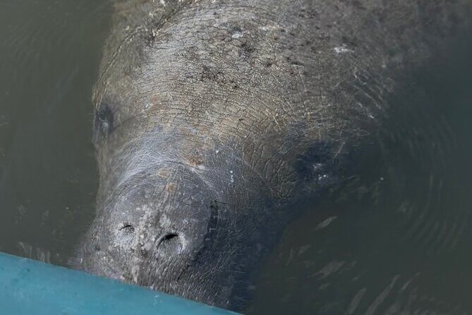 Guided Kayak Experience at EG Simmons Park - FAQ