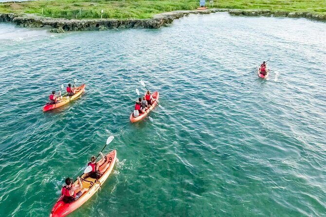 Guided Kayak Tour to Kailuas Twin Islands - Who Will Love This Tour?