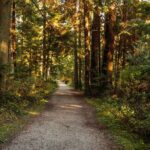 Guided Oceanside Private Hike - Final Thoughts: Is It Worth It?