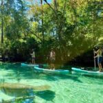 Guided Paddleboard Adventure on Weeki Wachee Springs - Structuring Your Day